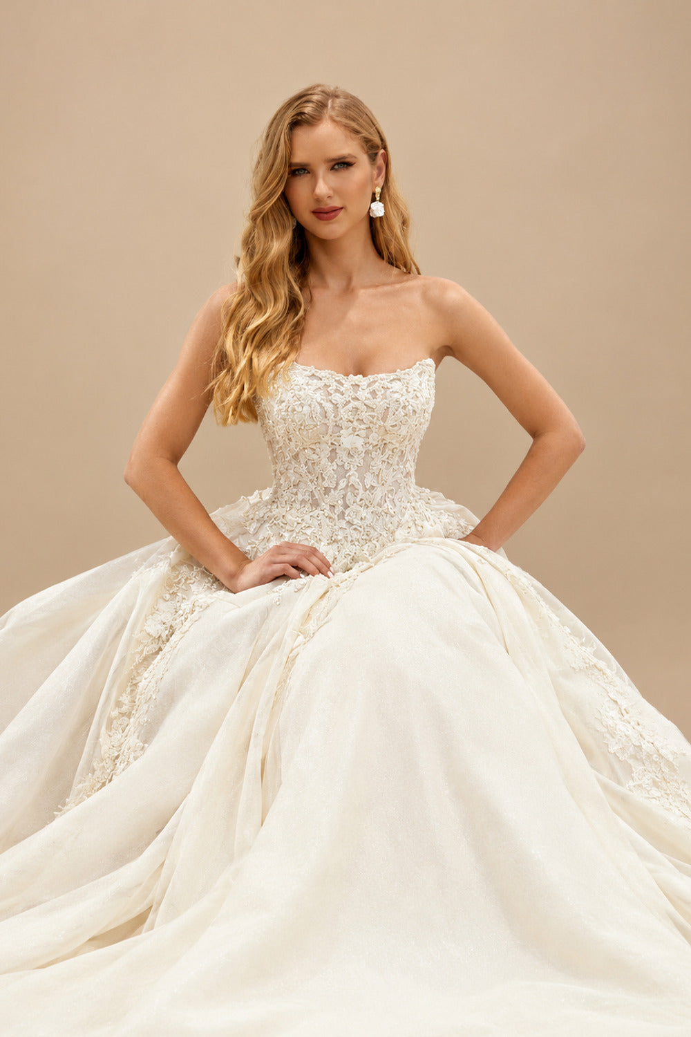 Rutipo Ivory Luxury Ball-Gown Strapless Lace/Tulle Black Wedding Dresses With Appliques Lace