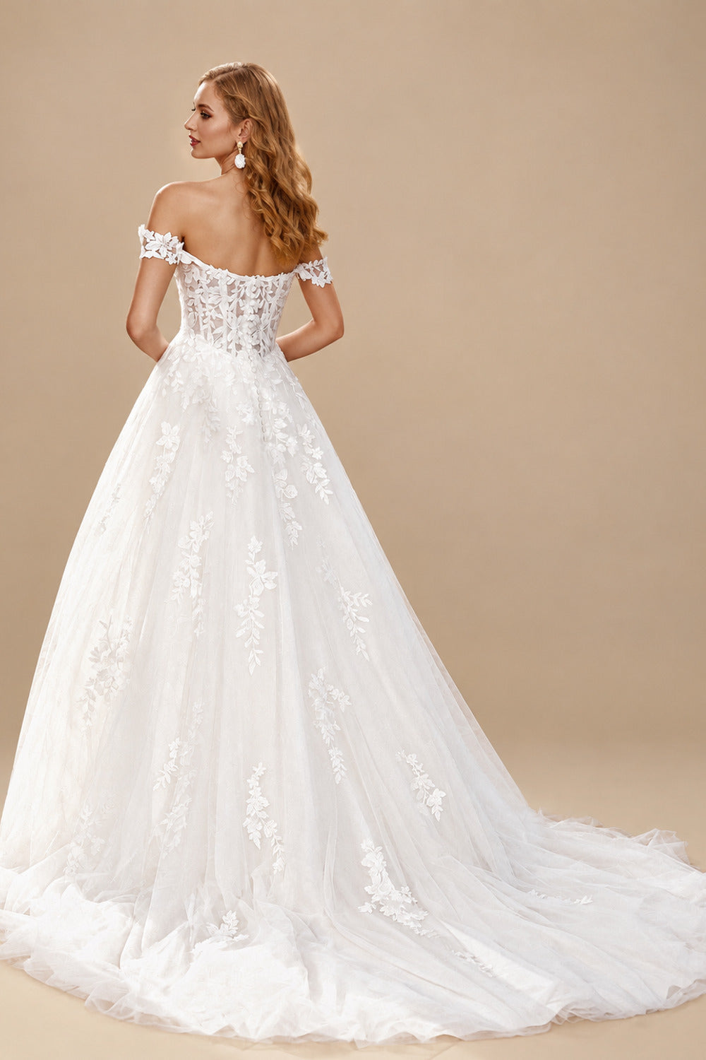 Rutipo White A-Line Off-The-Shoulder Sleeveless Court Wedding Dresses With Appliques Lace